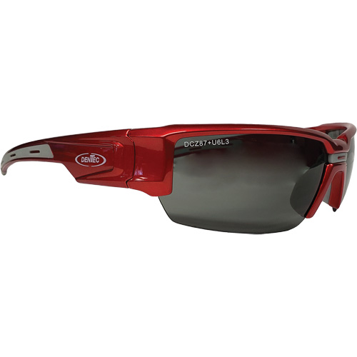Lunettes de s&eacute;curit&eacute; Hartley, Lentille Gris, Polaris&eacute;, R&eacute;pond ou surpasse la norme CSA Z94.3 Stor-it Systems