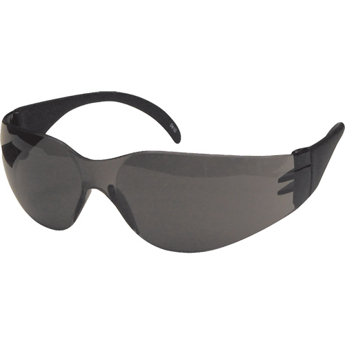 Lunettes de s&eacute;curit&eacute; CeeTec, Lentille Gris, Antibu&eacute;e/Anti-&eacute;gratignures, R&eacute;pond ou surpasse la norme CSA Z94.3 Stor-it Systems