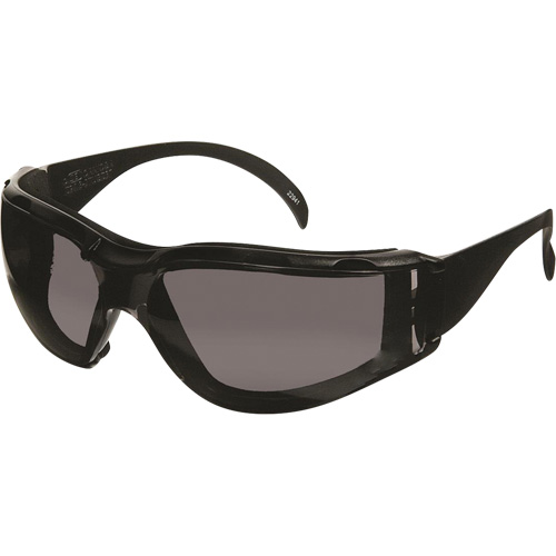 Lunettes de s&eacute;curit&eacute; CeeTec DX, Lentille Gris, Antibu&eacute;e/Anti-&eacute;gratignures, R&eacute;pond ou surpasse la norme CSA Z94.3 Stor-it Systems