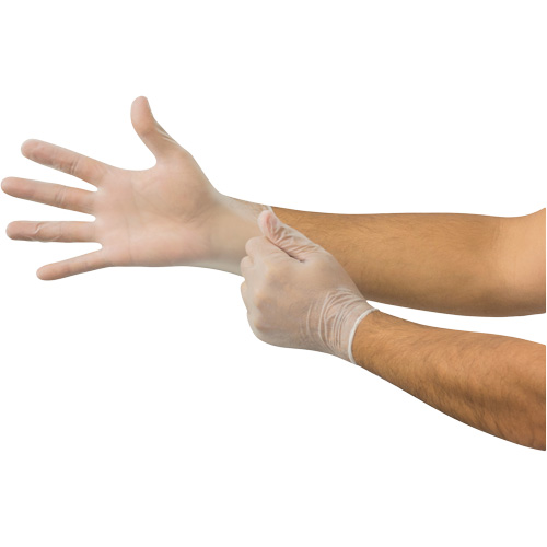 Gants jetables Derma Free MICROFLEX DF-850, 8,5/9/Grand, Vinyle, 3,1 mils/3,5 mils, Sans poudre, Transparent, Classe 2 Stor-it Systems