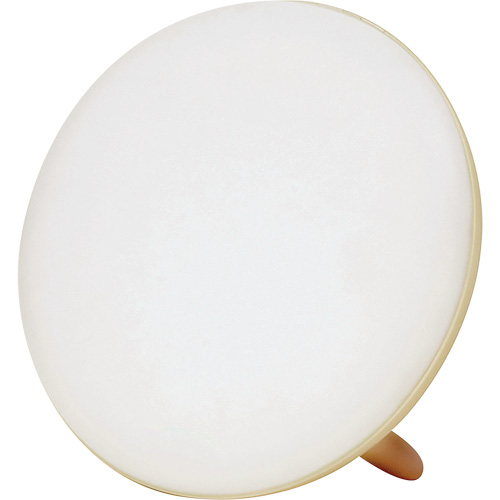 Lampe &agrave; luminoth&eacute;rapie pour le traitement de la d&eacute;pression saisonni&egrave;re Stor-it Systems