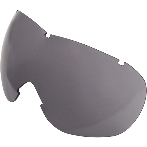 Lentille de rechange pour les lunettes de s&eacute;curit&eacute; &agrave; coques Uvex Sub-Zero, Antibu&eacute;e/anti-&eacute;gratignures, Gris, Uvex Sub-Zero Stor-it Systems