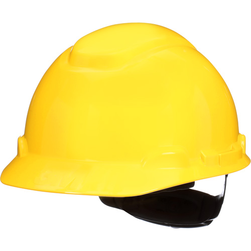 Casque de s&eacute;curit&eacute; de s&eacute;rie H SecureFit, R&eacute;pond aux normes CSA type 1, Suspension Rochet, Non ventil&eacute; Stor-it Systems