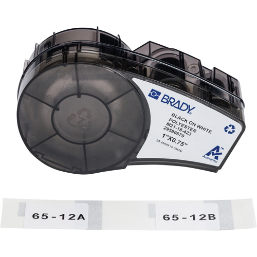 &eacute;tiquettes polyvalentes avec ruban pour environnements hostiles, Noir Stor-it Systems