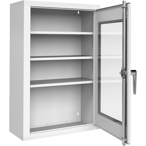 Lockable Medicine Cabinet with Plexiglas Door Stor-it Systems