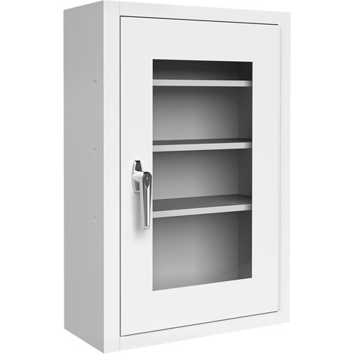 Lockable Medicine Cabinet with Plexiglas Door Stor-it Systems