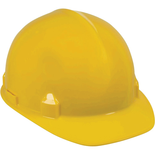 Casque de s&eacute;curit&eacute; SC-6, R&eacute;pond aux normes CSA type 1, Suspension Rochet, Non ventil&eacute; Stor-it Systems