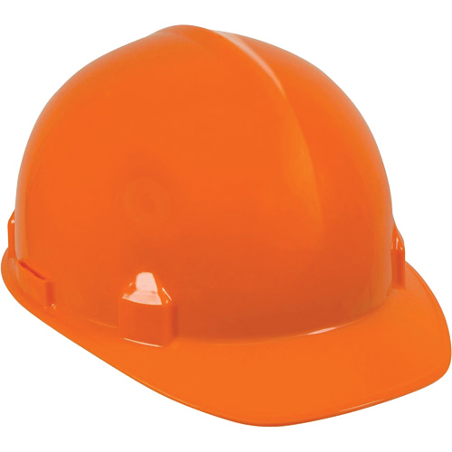 Casque de s&eacute;curit&eacute; SC-6, R&eacute;pond aux normes CSA type 1, Suspension Rochet, Non ventil&eacute; Stor-it Systems