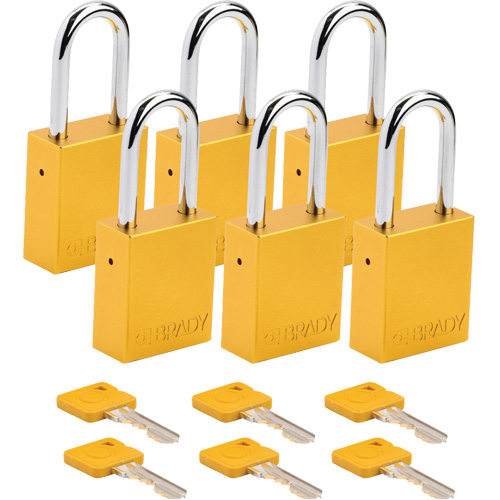 Cadenas de s&eacute;curit&eacute;, Cadenas de s&eacute;curit&eacute;, Cl&eacute;s diff&eacute;rentes, Aluminium, Largeur de 1-1/2" Stor-it Systems