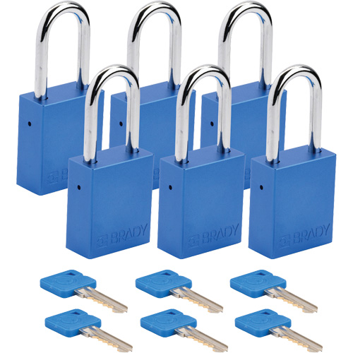 Cadenas de s&eacute;curit&eacute;, Cadenas de s&eacute;curit&eacute;, Cl&eacute;s identiques, Aluminium, Largeur de 1-1/2" Stor-it Systems