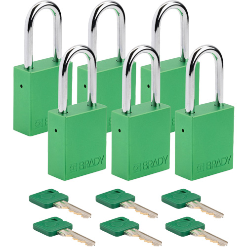 Cadenas de s&eacute;curit&eacute;, Cadenas de s&eacute;curit&eacute;, Cl&eacute;s identiques, Aluminium, Largeur de 1-1/2" Stor-it Systems