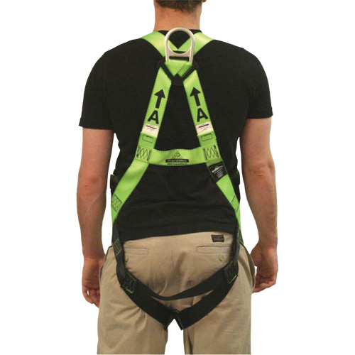 FBH-10000L Contractor Series Safety Harness, CSA Certified, Class AL, 400 lbs. Cap. Stor-it Systems