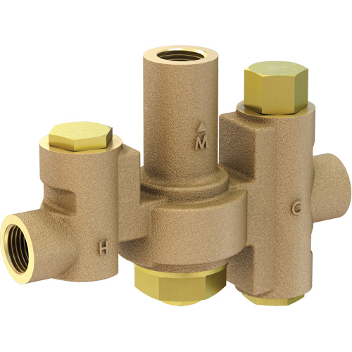 Low Capacity Thermostatic Mixing Valve for Individual Eye/Face Wash Stations, 2 - 35.1 GPM Stor-it Systems