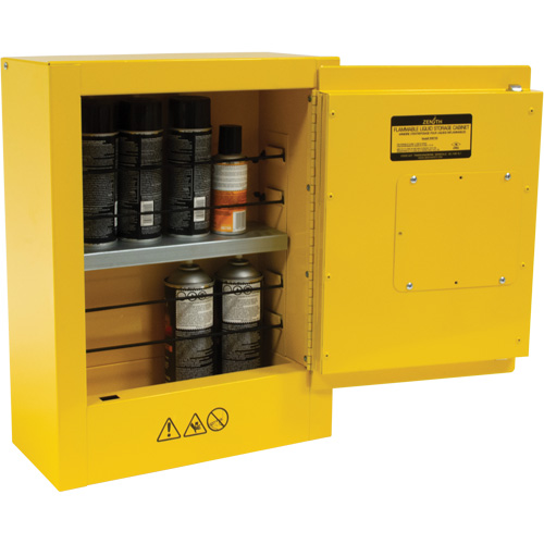 Armoire de s&eacute;curit&eacute; miniature pour produits inflammables, 2 gal., 1 Porte(s), 17" La x 22" h x 8" p Stor-it Systems