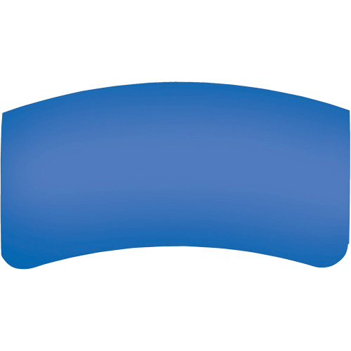Bullard GenVX PETG Outer Lens Stor-it Systems