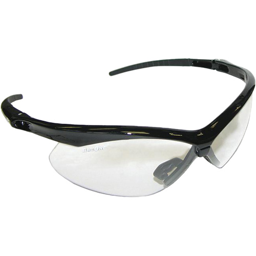High Performance Safety Glasses, Clear Lens, Anti-Fog/Anti-Scratch, ANSI Z87+ Stor-it Systems