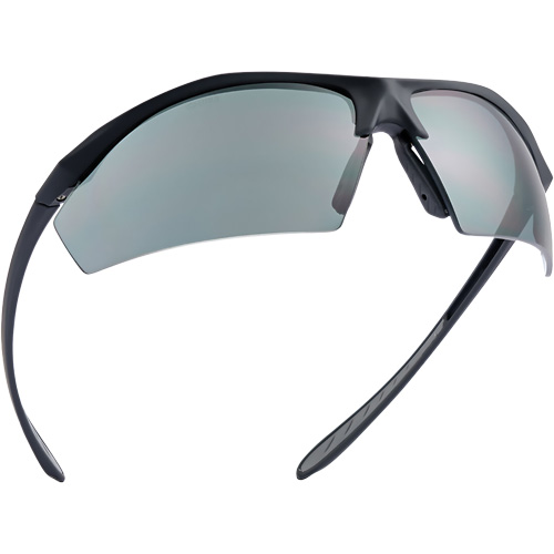 Sentinel Ballistic Protection Safety Glasses, Smoke Lens, Anti-Fog/Anti-Scratch/Polarized, ANSI Z87+ Stor-it Systems