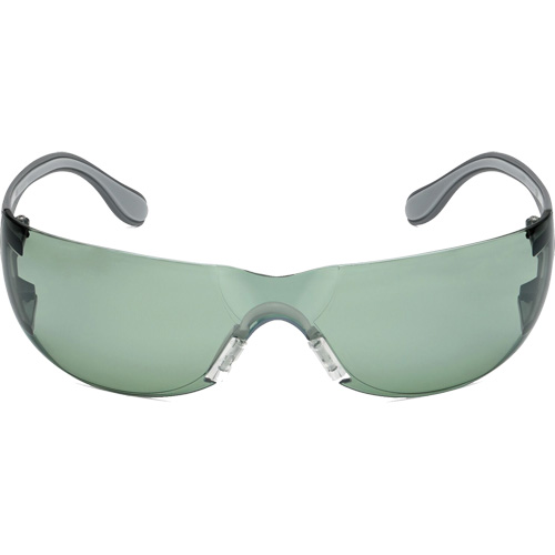 Adapt Lite Safety Glasses, Indoor/Outdoor Lens, Anti-Fog/Anti-Scratch, ANSI Z87+/Meets/Exceeds CSA Z94.3 Stor-it Systems