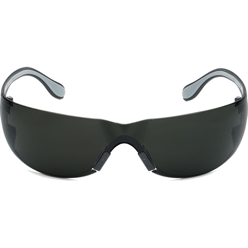 Adapt Lite Safety Glasses, Smoke Lens, Anti-Fog/Anti-Scratch, ANSI Z87+/Meets/Exceeds CSA Z94.3 Stor-it Systems