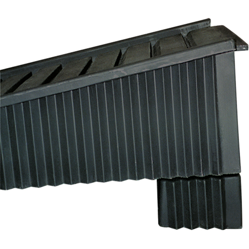 Ramp Extender Stor-it Systems