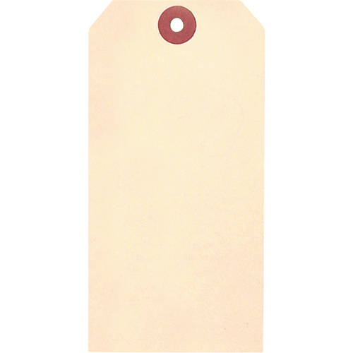 &eacute;tiquettes vierges en papier cartonn&eacute; de manille, Papier cartonn&eacute;, 1-5/8" la x 3-1/4" h Stor-it Systems