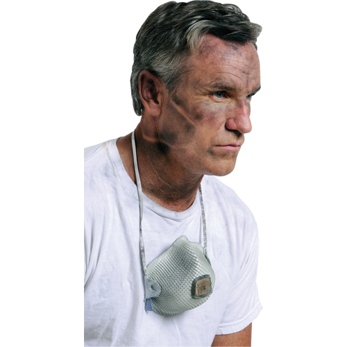 Respirateurs  contre les particules 2700, N95, Certifi&eacute; NIOSH, Grand/Moyen Stor-it Systems