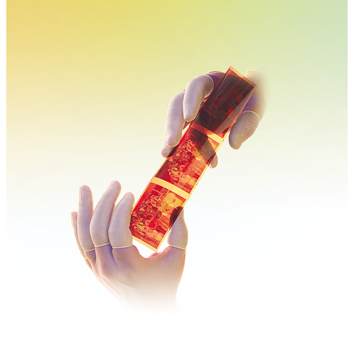 Doigtiers en latex poudr&eacute;s QRP Stor-it Systems