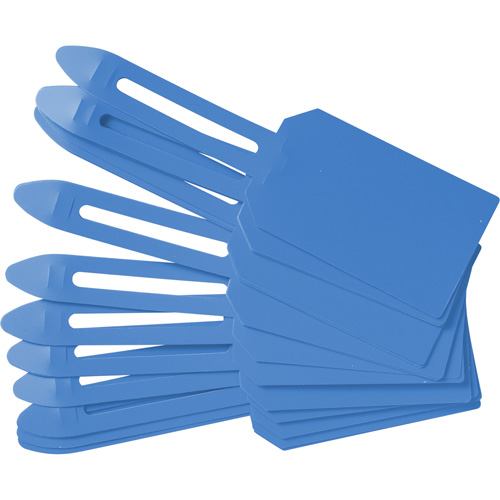 &eacute;tiquettes de cadenassage vierges en plastique, Plastique, 3-1/4" la x 5-4/5" h, Vierge Stor-it Systems