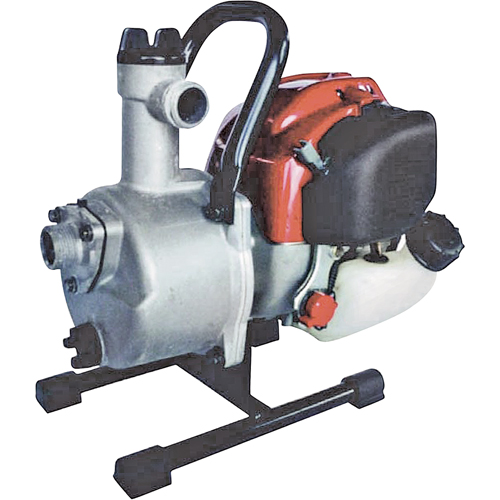 Pompes &agrave; eau - Pompes d'usage g&eacute;n&eacute;ral, 31 gal./min, Honda 4 temps GX25, 1 CV Stor-it Systems
