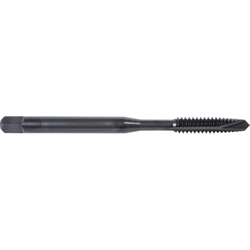Taraud &agrave; entr&eacute;e h&eacute;licoidale, Acier rapide, Filet de 8-36, 2-1/8" l Stor-it Systems