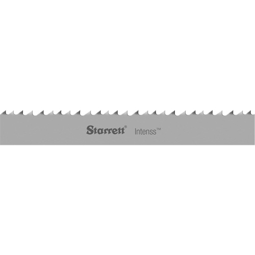 Lame de scie &agrave; ruban Intenss, Bim&eacute;tal, 16' 10" lo x 1-1/4" la x &eacute;paisseur 0,042", 5-8 dents par pouce Stor-it Systems