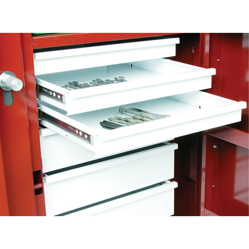 &eacute;tabli roulant, 49-7/8" la x 40-5/8" h x 26-7/8" p, Capacit&eacute; de 24,6 pi³ Stor-it Systems
