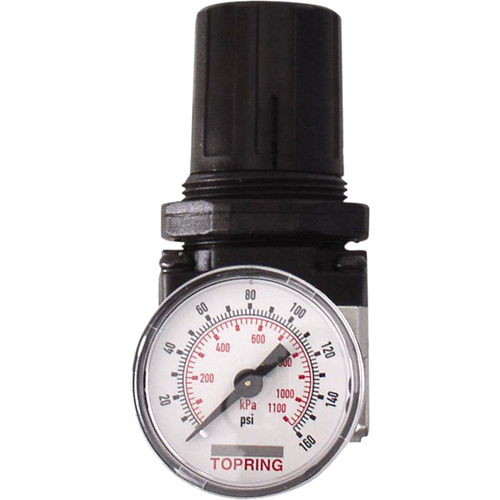 R&eacute;gulateurs, 3/4" NPT, PSI max. de 150 psi, Modulaire Stor-it Systems