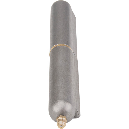 Weld-On Hinge, 0.787" Dia. x 5.906" L, Mild Steel w/Fixed Steel Pin Stor-it Systems