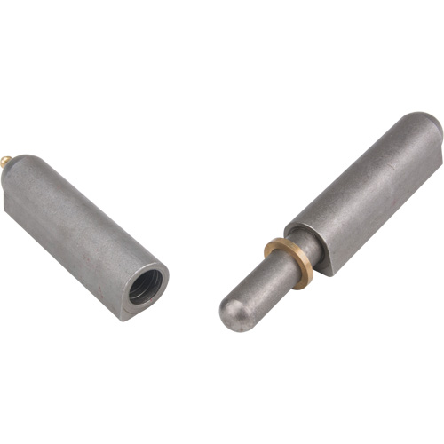Weld-On Hinge, 0.906" Dia. x 7.874" L, Mild Steel w/Fixed Steel Pin Stor-it Systems