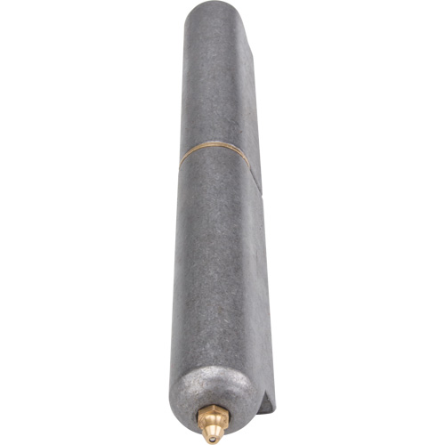 Charni&egrave;re &agrave; souder, 1,102" dia. x 10,236" lo, Acier doux a/goupille fixe en acier Stor-it Systems