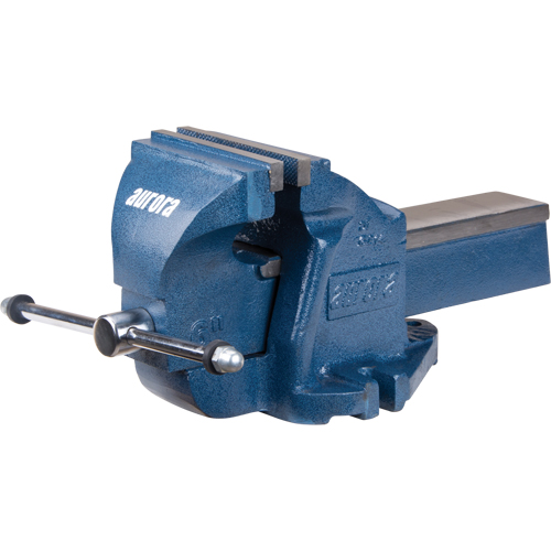 &eacute;tau d'&eacute;tabli robuste, Largeur des m&acirc;choires 6", Profondeur de la gorge 3-1/2" Stor-it Systems