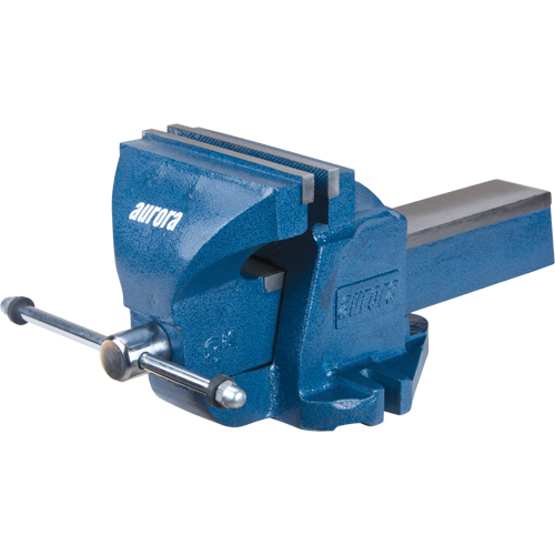 &eacute;tau d'&eacute;tabli robuste, Largeur des m&acirc;choires 8", Profondeur de la gorge 4" Stor-it Systems