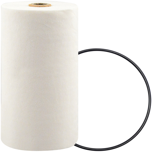 P7247 Filtre pour liquide de refroidissement &agrave; visser avec additif BTE Stor-it Systems