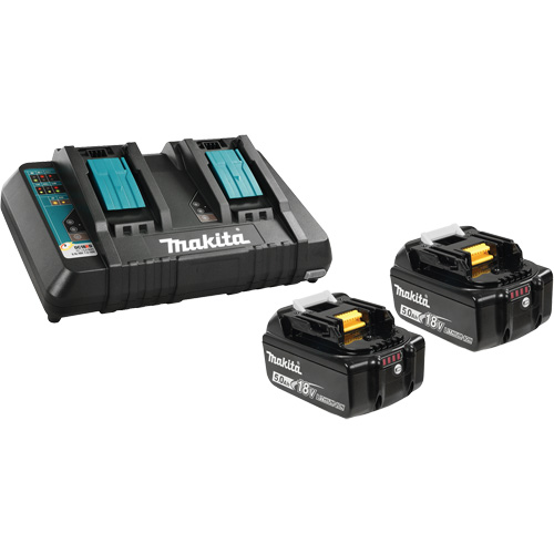 Li-Ion Battery & Dual-Port Charger Kit, 18 V, Lithium-Ion Stor-it Systems