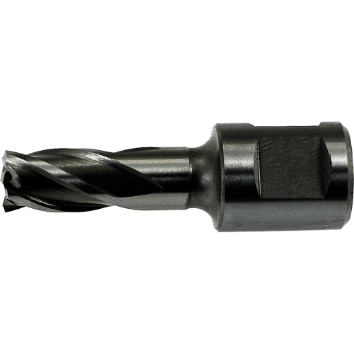 DRILLCO Annular Cutter Pilot Stor-it Systems