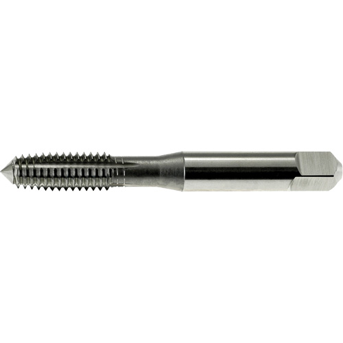 Taraud &agrave; former les filets DRILLCO, Acier rapide, Filet 1/4"-20 Stor-it Systems