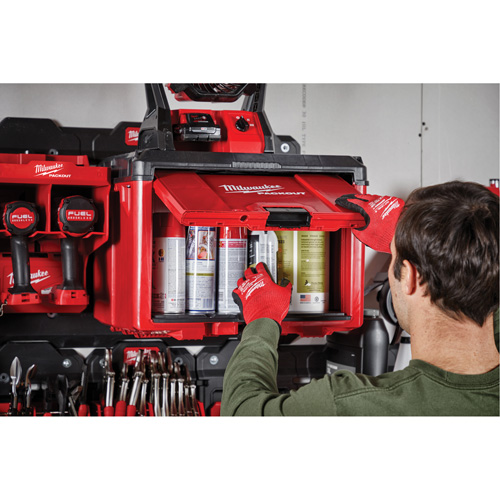 Armoire &agrave; outils Packout, 15" x 15" x 20", Noir/Rouge Stor-it Systems
