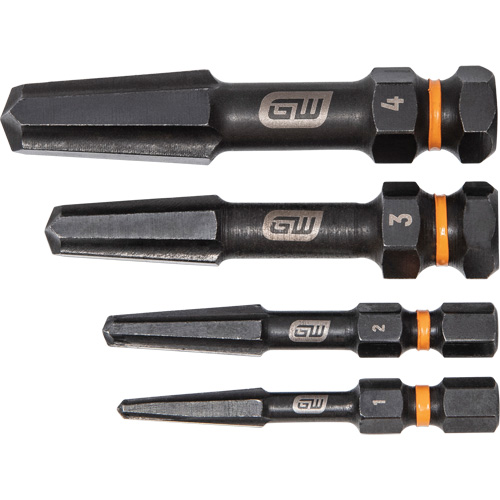 Jeu d'extracteur de vis Bolt Biter, Acier rapide, 4 Morceaux Stor-it Systems