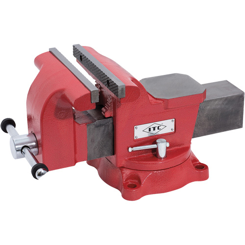 &eacute;tau de m&eacute;canicien, Largeur des m&acirc;choires 8", Profondeur de la gorge 3-1/2" Stor-it Systems