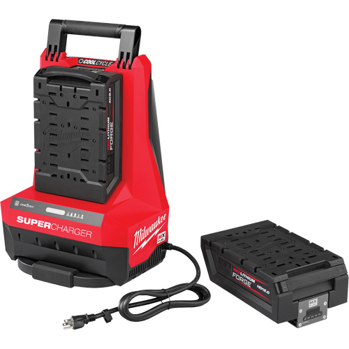 MX Fuel Super Charger, 120 V, Lithium-Ion Stor-it Systems