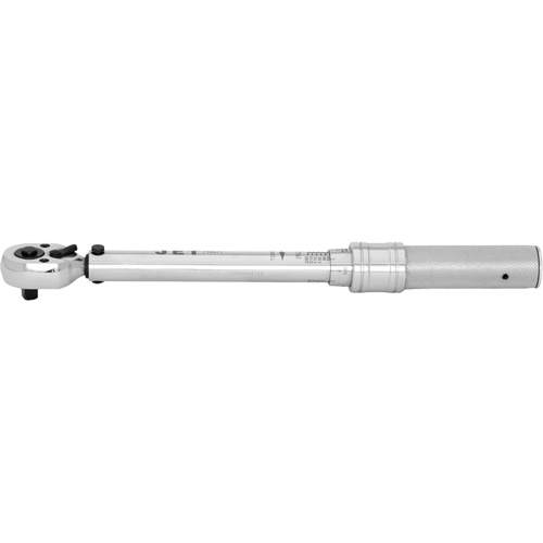 JITW-14250 Cl&eacute;s dynamom&eacute;triques industrielles, &agrave; cliquer, Entraînement 1/4" carr&eacute;, 50 - 250 lb-po Stor-it Systems