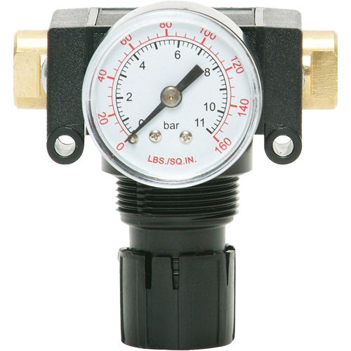 MODULAIR 200 Acetal Piston Regulator, 1/4" NPT, 150 PSI Max. PSI, In Line/Modular Stor-it Systems