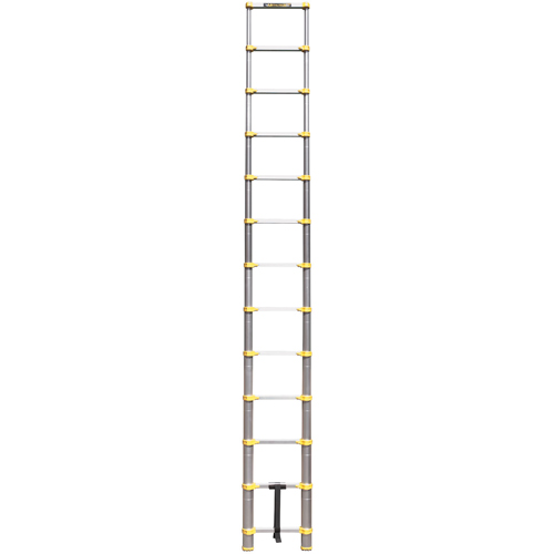 &eacute;chelle t&eacute;lescopique, 3' - 12', Aluminium, Capacit&eacute; de 250 lb, Type 1 Stor-it Systems