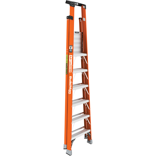 Escabeau avec plateforme Safespace, 6', Cap. De 300 lb Stor-it Systems